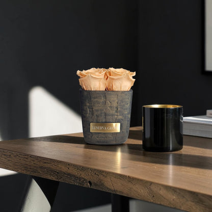 Square Vase Gold/Black| Peach
