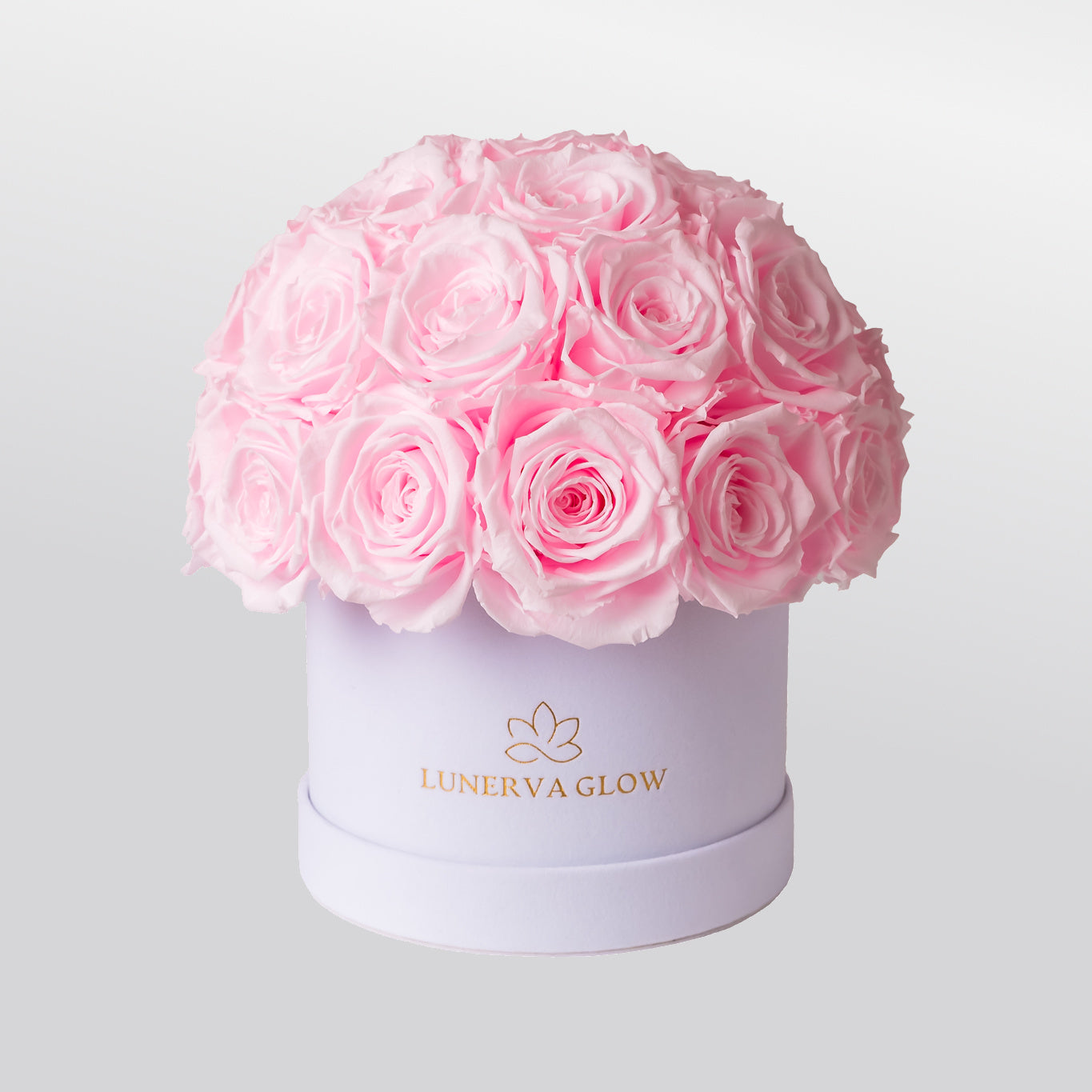 White Velvet Mushroom |Peach|S