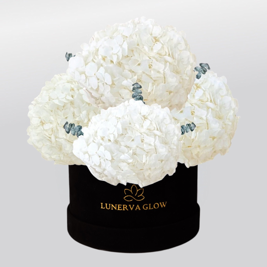 Schwarze Blumenbox mit Hortensie und Eukalyptus Mix