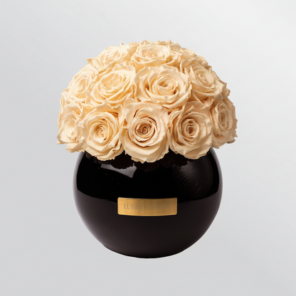 Black Glass Vase |Nude|M