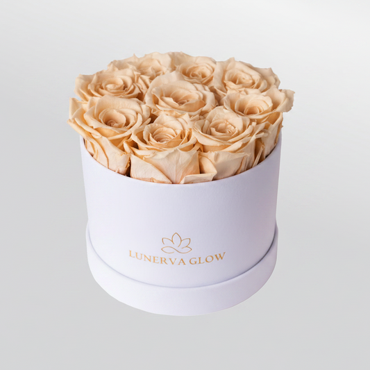 White Velvet  Flowerbox |Nude